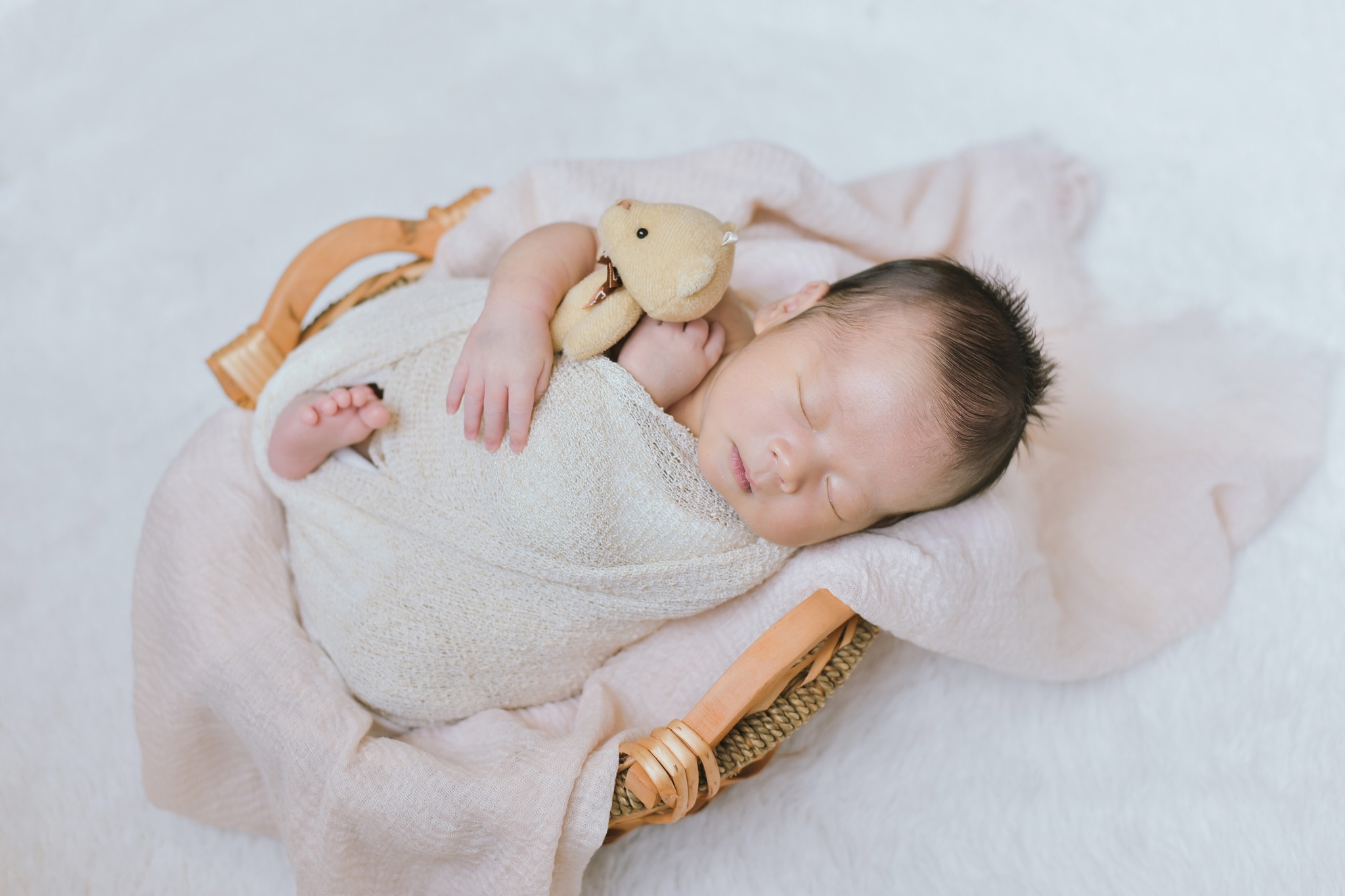 Newborn in basket with toy